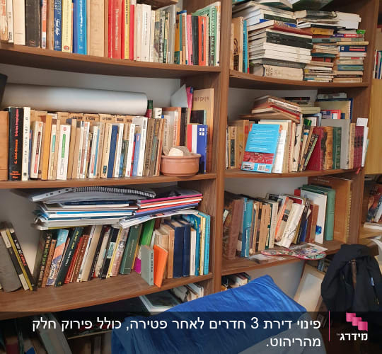 מדפים עם ספרים רבים, כריות כחולות על כיסא